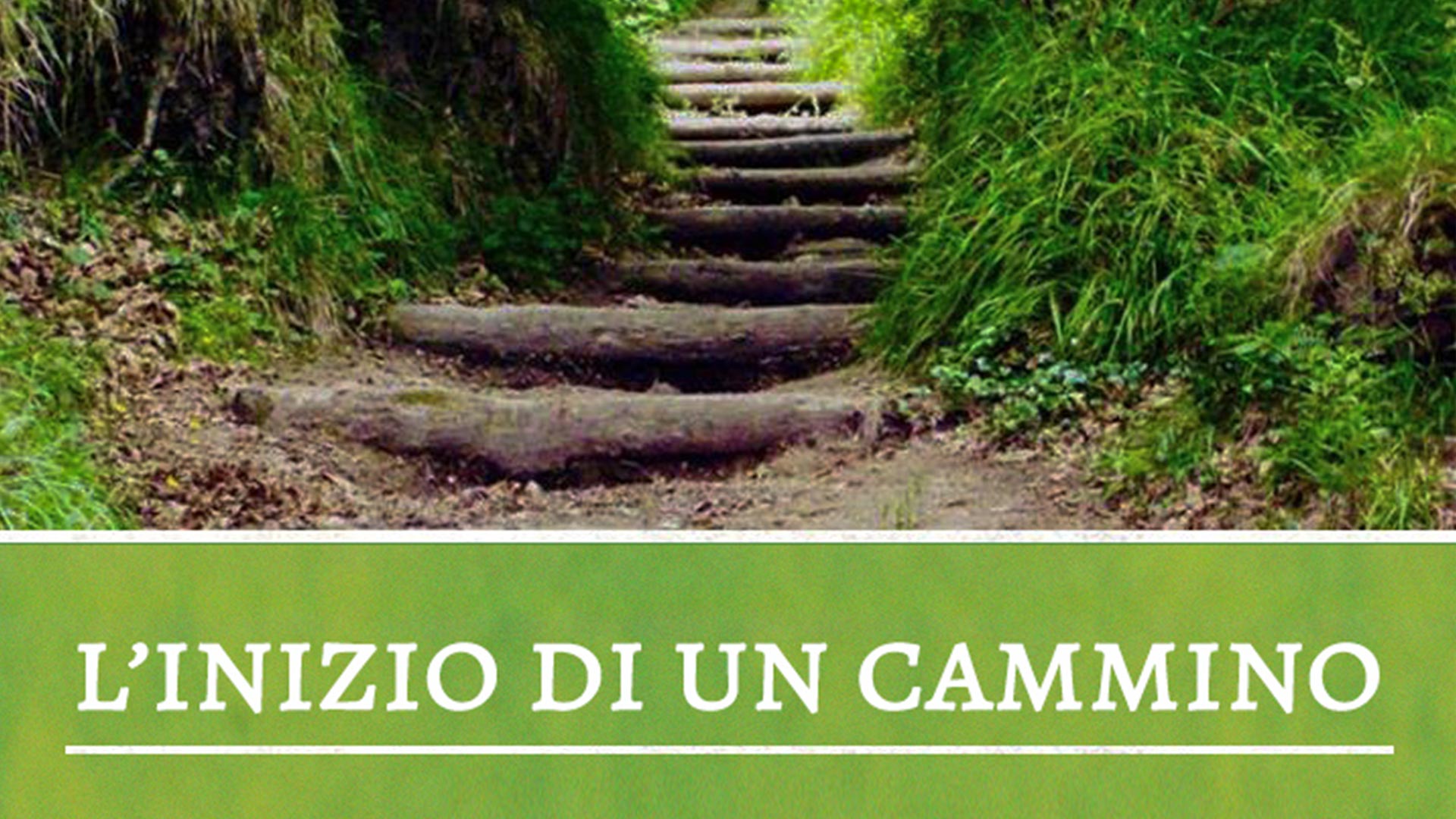 L’inizio di un cammino